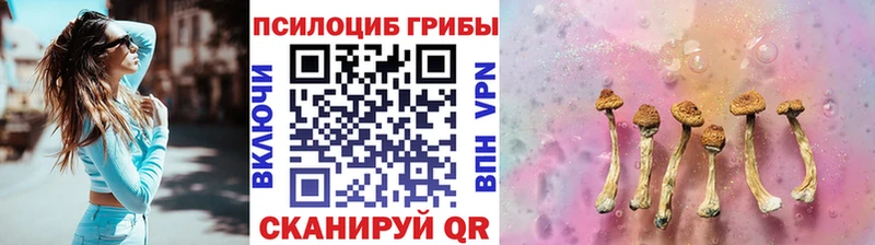 хочу   Заозёрск  Галлюциногенные грибы мухоморы 